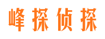 武江市调查公司